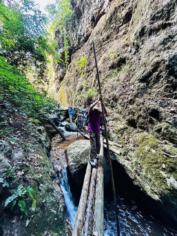 From Chiang Mai: Doi Saket Hiking Tour with Lunch - What the Guides and Their Dogs Add to the Experience