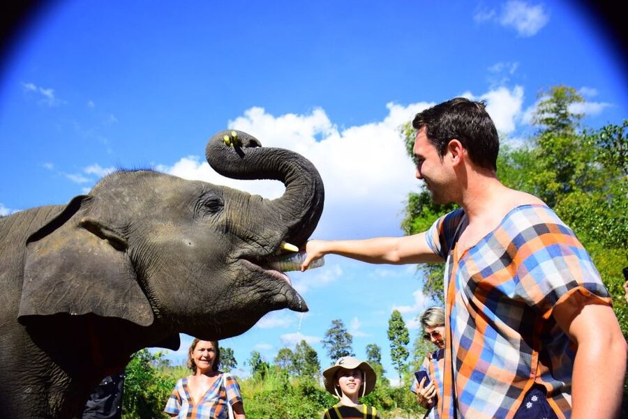 From Chiang Mai: Elephant Care Program and Nursery Tour - Key Takeaways Before You Go