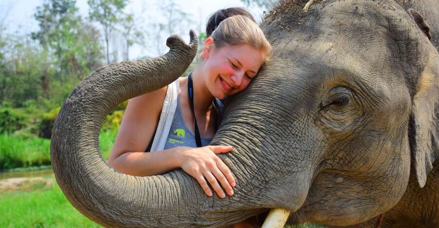 From Chiang Mai: Elephant Care Program and Nursery Tour - Why This Chiang Mai Elephant Day Feels Like Care, Not a Show