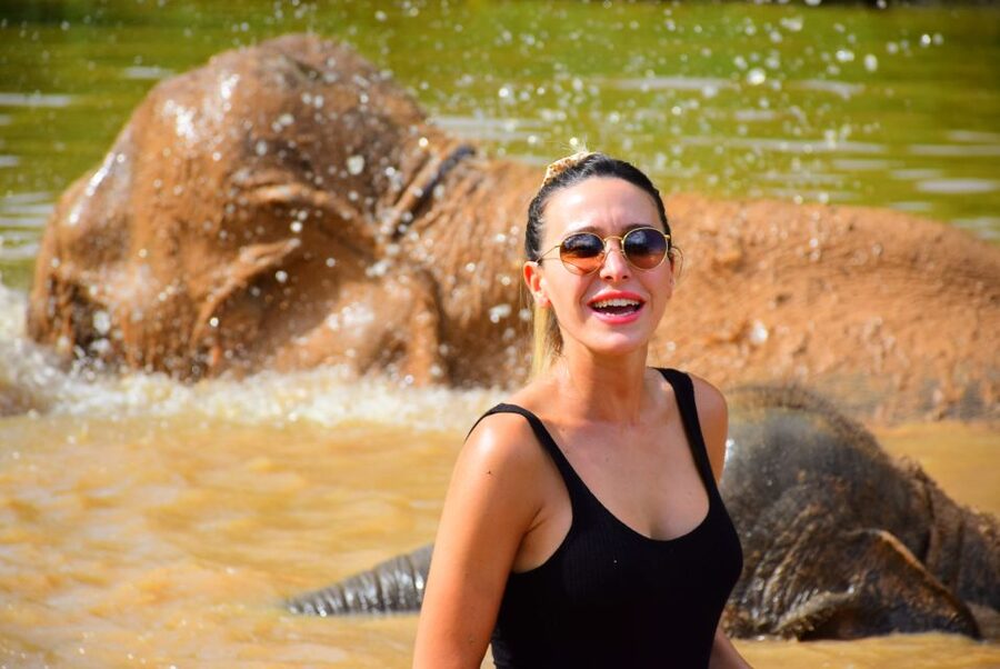 From Chiang Mai: Elephant Care Program and Nursery Tour - Mud Pool, Sand Spa, and Bathing: The Splashes That Make This Tour Worth It