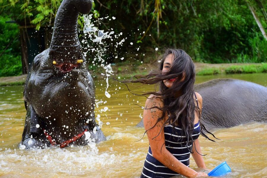 From Chiang Mai: Elephant Care Program and Nursery Tour - Who This Elephant Care Program Fits Best, and Who Might Want a Different Option