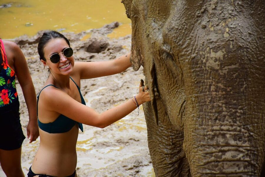 From Chiang Mai: Elephant Care Program and Nursery Tour - Price and Value: What You Get for About $53