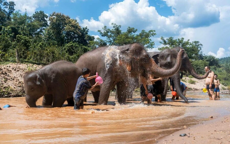 From Chiang Mai: Kerchor Eco Elephant Park Tour - Who should book this tour, and who should skip