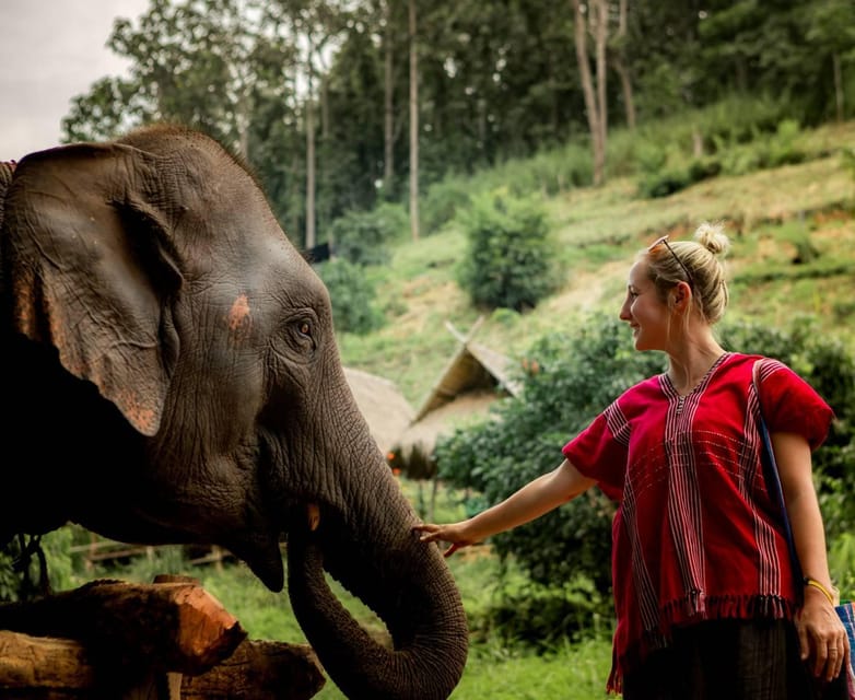 From Chiang Mai: Kerchor Eco Elephant Park Tour - Getting From Chiang Mai to Kerchor Eco Elephant Park
