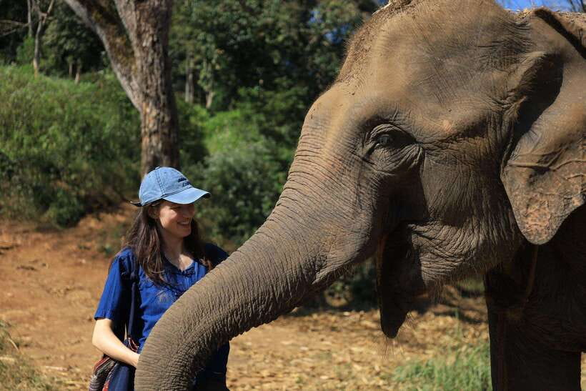 From Chiang Mai: Living Green Elephant Sanctuary Tour - Key Things I’d Know Before Going