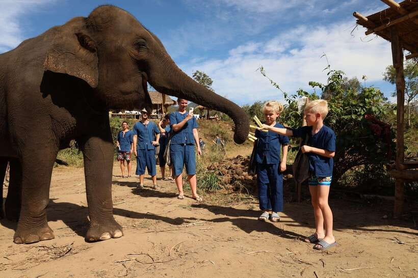From Chiang Mai: Living Green Elephant Sanctuary Tour - Value for Money: Is $46 Worth It?