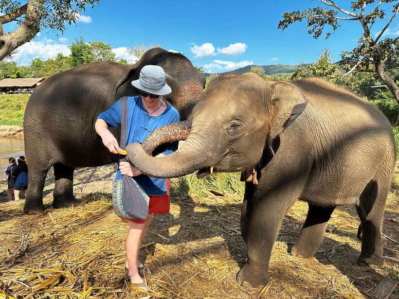 From Chiang Mai: Living Green Elephant Sanctuary Tour - Getting Oriented: Transfers, Clothing, and What the Day Feels Like