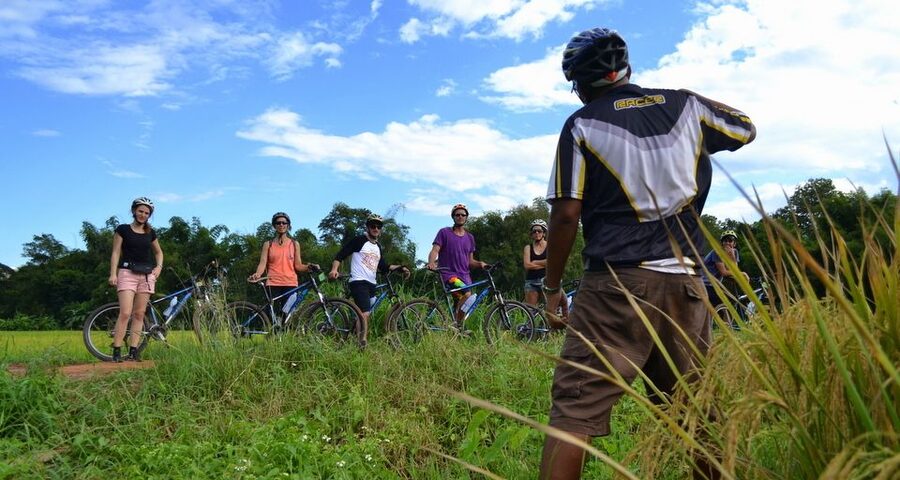 From Chiang Mai: Mae Taeng Valley and Waterfalls Cycle Tour - Thai lunch in a tropical garden: the midday reset you’ll appreciate