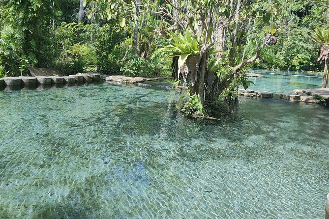 From Khao Lak : Cheow Lan Lake & Nam Rad Emerald Pool - Price and What’s Included in a $127.78 Day