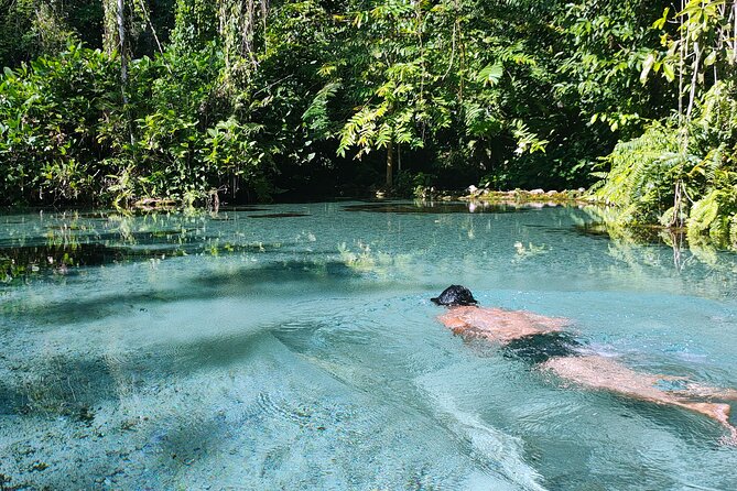 From Khao Lak : Cheow Lan Lake & Nam Rad Emerald Pool - Should You Book This Cheow Lan and Emerald Pool Tour?