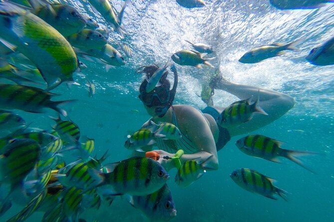 From Khao Lak : Phi Phi Islands Adventure Day Trip with Lunch - From Khao Lak to Phi Phi, the value case is clear