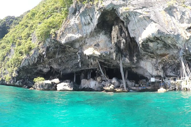 From Khao Lak : Phi Phi Islands Adventure Day Trip with Lunch - Ko Phi Phi Le snorkeling: what provided gear really means