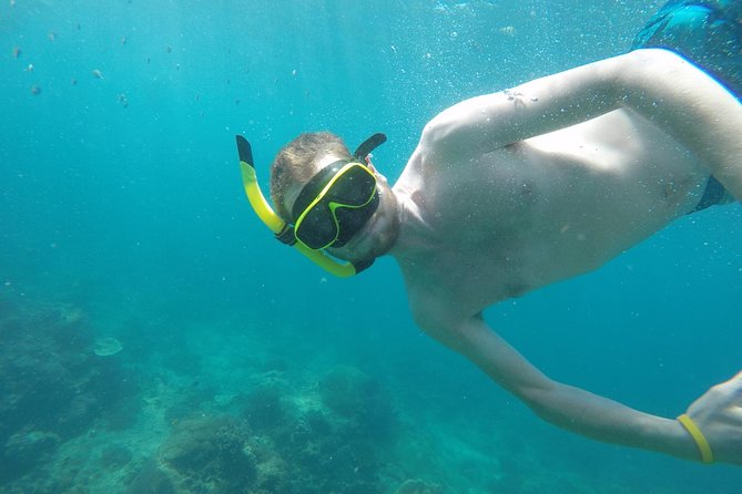 From Khao Lak : Phi Phi Islands Adventure Day Trip with Lunch - Bamboo Island: sand time, possible jellyfish, and practical comfort