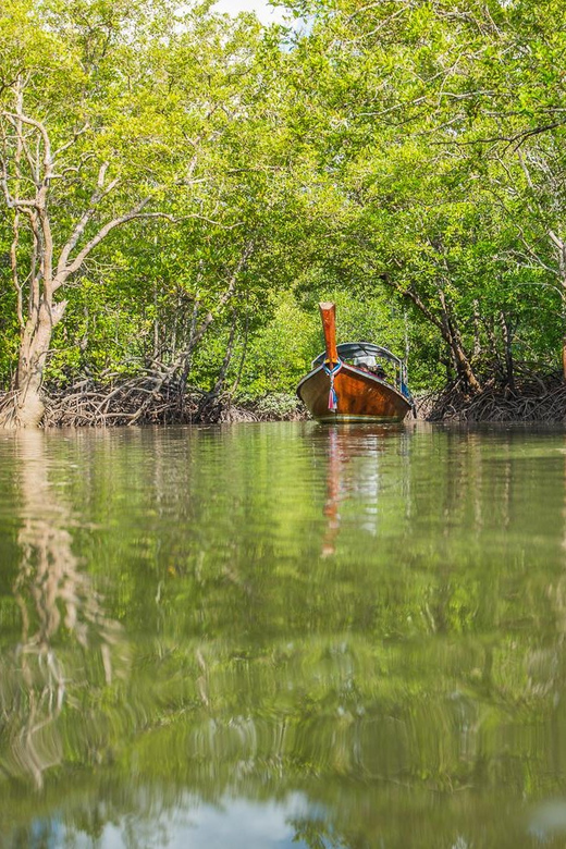 From Ko Lanta: Mangrove Eco-Excursion by Longtail Boat - Who should book this mangrove eco excursion, and who should skip it
