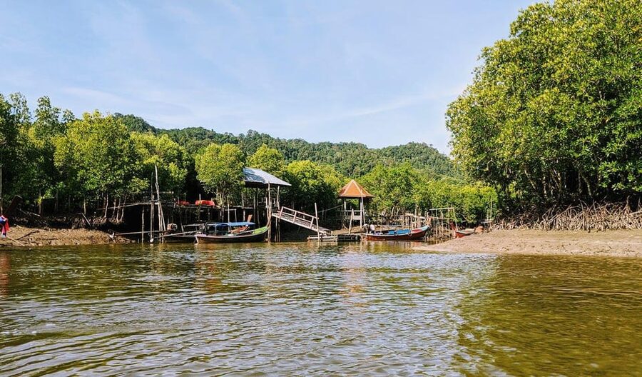 From Ko Lanta: Mangrove Eco-Excursion by Longtail Boat - Monkey Point, birds, and how wildlife spotting plays out in real life