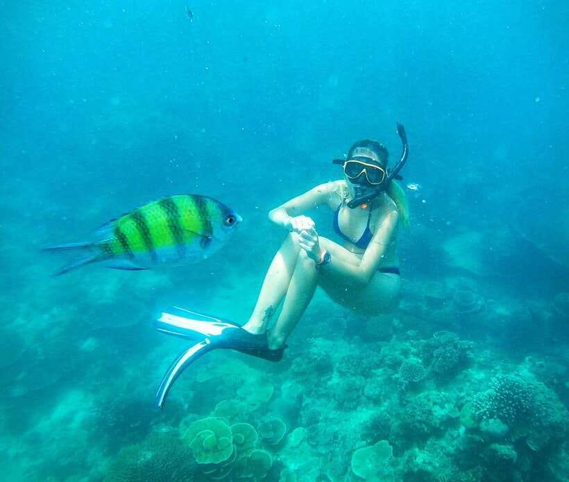 From Koh Lanta: Koh Haa & Koh Rok Snorkel Tour by Speedboat - Who Should Book This Speedboat Trip (and Who Should Skip It)