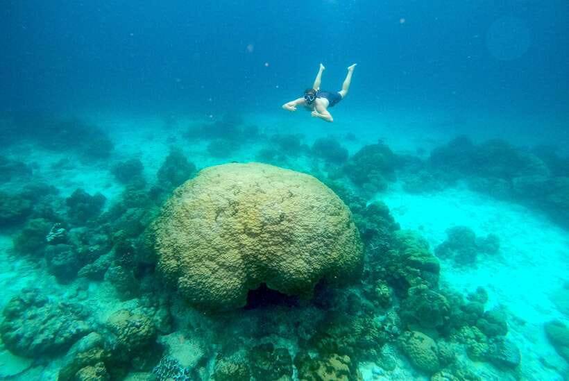 From Koh Lanta: Koh Haa & Koh Rok Snorkel Tour by Speedboat - Koh Rok Noi and Koh Rok Yai: Beach Time Plus Nemo Territory