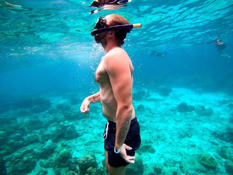 From Koh Lanta: Koh Haa & Koh Rok Snorkel Tour by Speedboat - Price and Park Fees, So You Can Budget Like a Pro