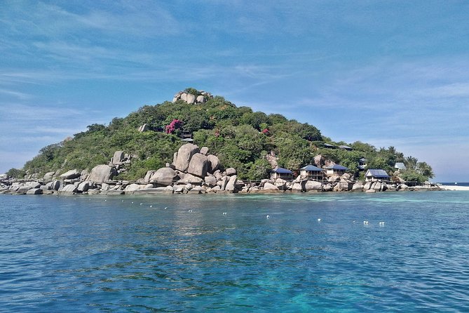 From Koh Samui: Koh Tao & Koh Nang Yuan Snorkeling (by Speedboat) - Guide and group size: what the format means for your day