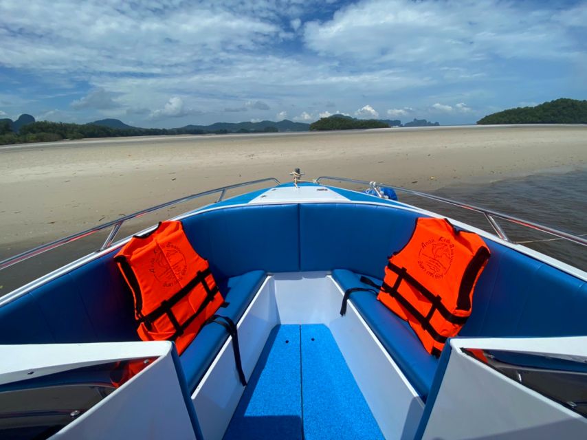 From Krabi: Phi Phi Island Full-Day Private Speed Boat Tour - Why This Private Phi Phi Tour Feels Worth It