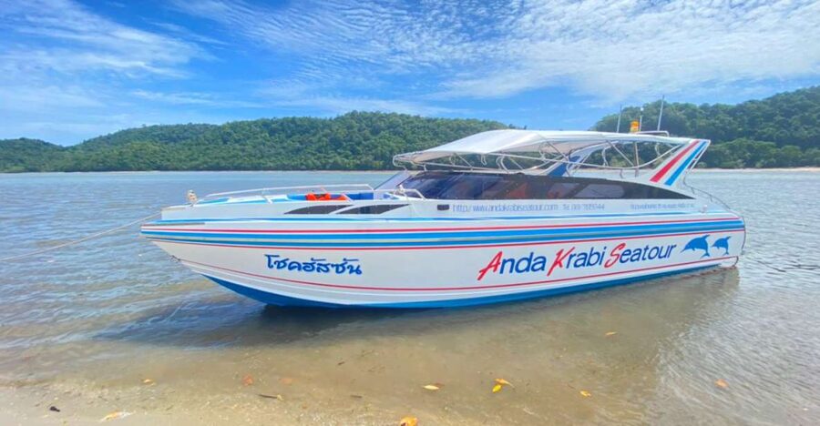 From Krabi: Phi Phi Island Full-Day Private Speed Boat Tour - Stop One: Bamboo Island for White Sand and Reef Snorkeling