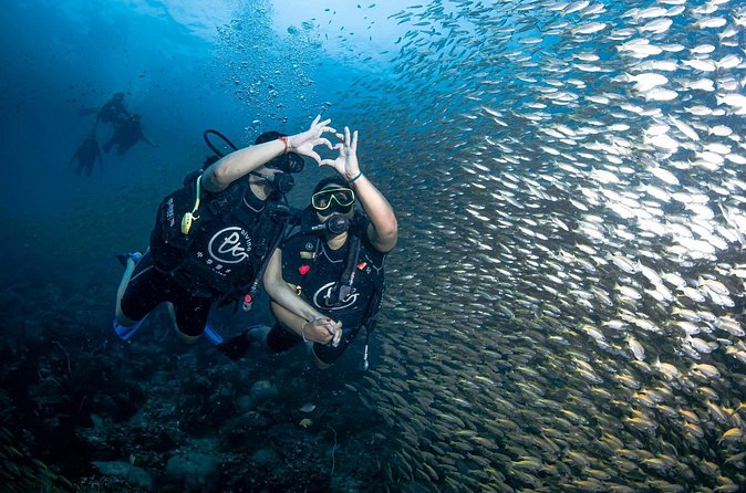 From Phi Phi Don | Half Day Discover Scuba Diving 2 Dives - Ko Phi Phi Don: your first swim in the coral gardens zone