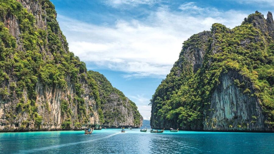 From Phi Phi: Full Day Snorkeling Trip by Longtail Boat - Shark Point: the animal highlight and the biggest variable
