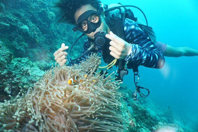 From Phi Phi: Half Day Discover Scuba (2 Dives) - Stop-by-stop: Ko Phi Phi Le, Viking Cave, Maya Bay, and Ko Bida Nok