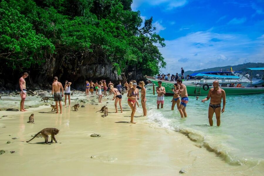 From Phi Phi: Half-Day Longtail Boat Tour with Snorkeling - Price and Value: What You Get for Around $24