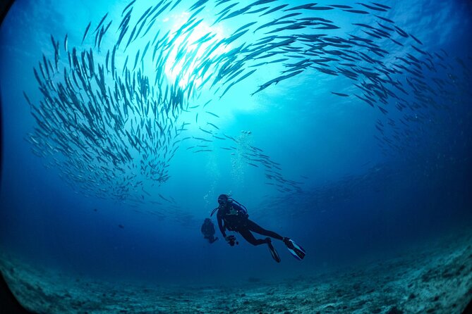 From Phi Phi: Half Day Trip for Certified Divers (2 Dives) - Price and value: what $94.51 really covers