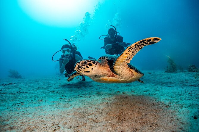 From Phi Phi: Half Day Trip for Certified Divers (2 Dives) - Where it leaves from, and why you need one night on Phi Phi