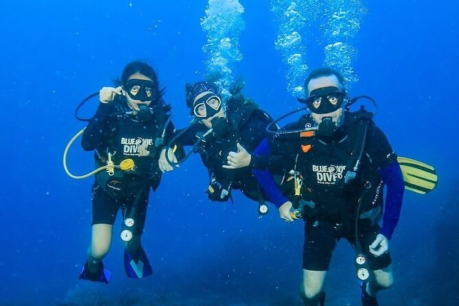 From Phi Phi: PADI Open Water Course <em>eLearning (2+ days) – Key highlights worth caring about’ /><br />
<em> <strong>Official PADI eLearning</strong> in-app or on PC, plus required Open Water videos before you arrive<br />
</em> <strong>Small group size</strong> capped at 10 students, with safety-first coaching throughout<br />
<em> <strong>Confined training off the beach</strong>, then open water sessions on a boat with lunch between<br />
</em> <strong>Marine Park area sessions</strong> with a good chance of turtles and sharks during training<br />
<em> <strong>Zero waste lunch and fresh pineapple</strong> between underwater sessions on the boat<br />
</em> <strong>Course includes equipment, computer rental, and certification fees</strong>, with just the National Park fee extra</p>
<div class="twil" style="margin: 20px 0; padding: 15px 0;"><p>Boats out to Phi Phi and Maya Bay also got written up</p><ul style="margin: 10px 0; padding-left: 0; list-style: none;"><li style="margin: 6px 0; line-height: 1.4;"><a href="https://lovingthailand.com/from-phi-phi-sunrise-beat-the-crowds-to-maya-bay-by-speedboat/">From Phi Phi: Sunrise & Beat The Crowds to Maya Bay by Speedboat</a><span style="margin-left: 8px; font-size: 0.82em; color: #555; white-space: nowrap;"><span style="color: #a8741a;">★</span> 5.0 &middot; 124 reviews</span></li><li style="margin: 6px 0; line-height: 1.4;"><a href="https://lovingthailand.com/highlights-of-phi-phi-islands/">Highlights of Phi Phi Islands</a><span style="margin-left: 8px; font-size: 0.82em; color: #555; white-space: nowrap;"><span style="color: #a8741a;">★</span> 4.5 &middot; 86 reviews</span></li><li style="margin: 6px 0; line-height: 1.4;"><a href="https://lovingthailand.com/from-phi-phi-half-day-discover-scuba-2-dives/">From Phi Phi: Half Day Discover Scuba (2 Dives)</a><span style="margin-left: 8px; font-size: 0.82em; color: #555; white-space: nowrap;"><span style="color: #a8741a;">★</span> 5.0 &middot; 77 reviews</span></li><li style="margin: 6px 0; line-height: 1.4;"><a href="https://lovingthailand.com/phi-phi-7-islands-full-day-tour-from-phi-phi-by-longtail-boat/">Phi Phi 7 Islands Full-Day Tour From Phi Phi by Longtail Boat</a><span style="margin-left: 8px; font-size: 0.82em; color: #555; white-space: nowrap;"><span style="color: #a8741a;">★</span> 4.0 &middot; 67 reviews</span></li></ul></div><h2 id="padi-open-water-on-ko-phi-phi-don-what-youre-really-buying">PADI Open Water on Ko Phi Phi Don: What You’re Really Buying</h2>
<p><img width="669" height="446" decoding="async" src=