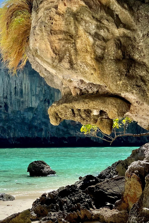 From Phi Phi : Splash & Explore – Half-Day Tour By longtail - Monkey Beach: quick nature viewing with a real-world reality check