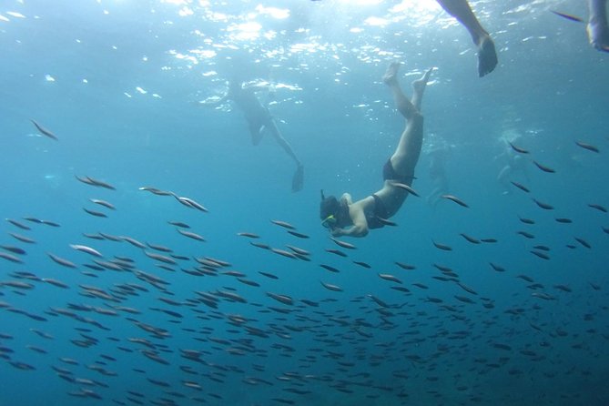 From Phi Phi: Sunrise & Beat The Crowds to Maya Bay by Speedboat - Bamboo Island lunch and beach time: when you get your big meal