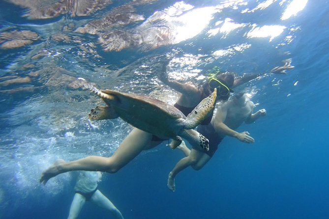 From Phi Phi: Sunrise & Beat The Crowds to Maya Bay by Speedboat - Weather, tide, and Maya Bay rules you should plan around