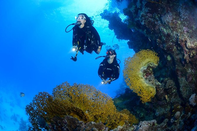 Full-Day Beginner Scuba Course with Private Tuition, Racha Yai - Koh Racha Yai: the Phuket outing that feels like a real ocean day