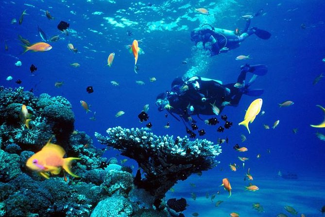 Full-Day Beginner Scuba Course with Private Tuition, Racha Yai - How private tuition turns into real comfort before you go underwater