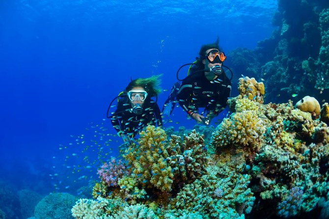 Full-Day Beginner Scuba Course with Private Tuition, Racha Yai - Koh Racha Yai underwater sessions: what “two 45 to 50 minute” really means