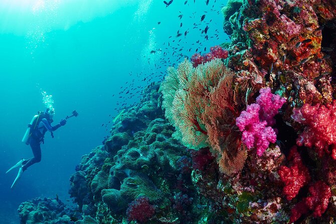 Full-Day Beginner Scuba Course with Private Tuition, Racha Yai - The equipment setup, camera rules, and how not to waste your one special day
