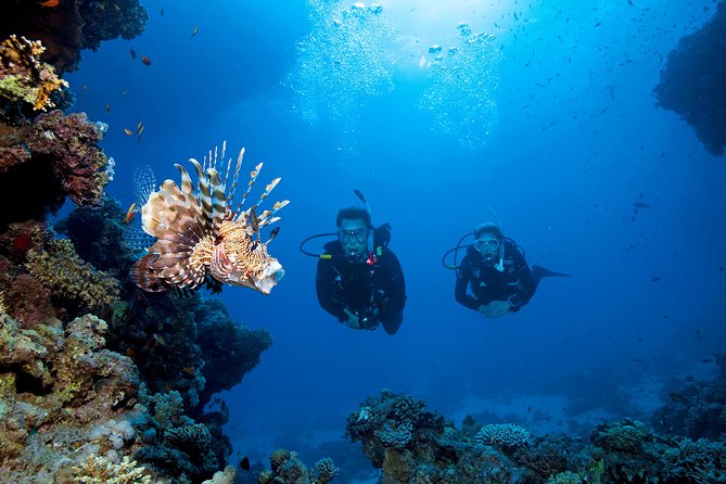 Full-Day Beginner Scuba Course with Private Tuition, Racha Yai - Lunch and downtime: a good reset between the two underwater sessions