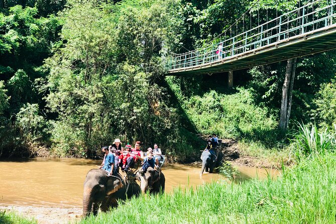 Full Day Car Hire with an English Speaking Driver in Chiang Mai - Doi Inthanon National Park and the waterfall climb factor