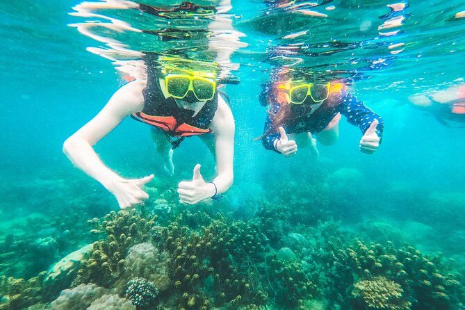 Full-Day Cruise of Koh Nang Yuan and Koh Tao From Koh Samui - Stop 1 and 2 at Koh Nang Yuan: snorkeling plus the viewpoint walk