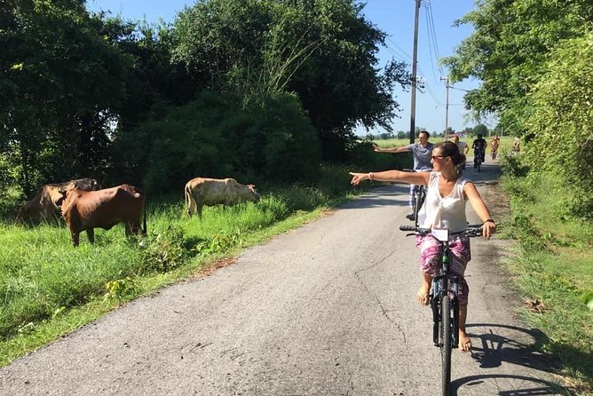 Full Day Cycling tour to Sukhothai Historical Park - Sukhothai Historical Park Temples: Wat Chang Lom to Wat Si Chum