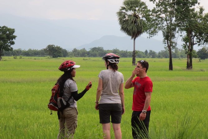 Full Day Cycling tour to Sukhothai Historical Park - Lunch, Snacks, and Bottled Water: Fuel That Makes This Tour Work