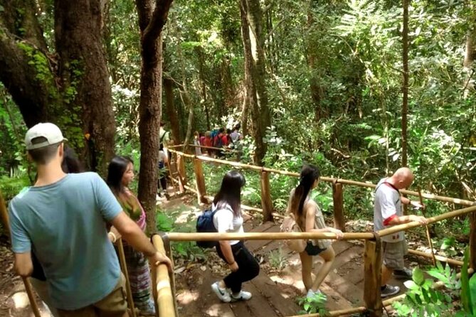 Full-Day Doi Inthanon National Park Tour with Trek and Pagodas - The Hmong Market lunch and Karen Hill Tribe village time