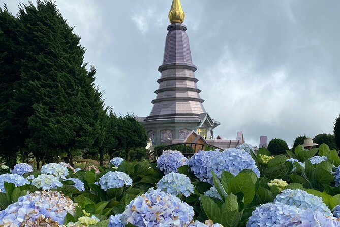 Full-Day Doi Inthanon National Park Tour with Trek and Pagodas - Wachirathan Falls: a misty payoff before coffee