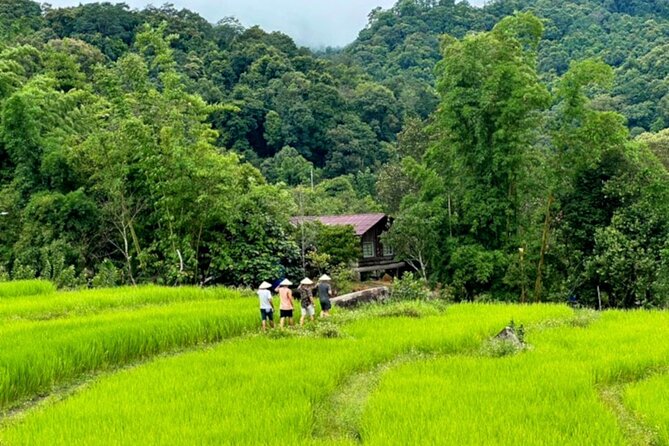 Full-Day Doi Inthanon National Park Tour with Trek and Pagodas - Coffee tasting in Baan Mae Klang Luang: small stop, good ending