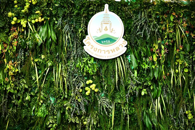 Full-Day Doi Inthanon Nature Tour from Chiang Mai - Pace, private tour feel, and why timing matters on this route