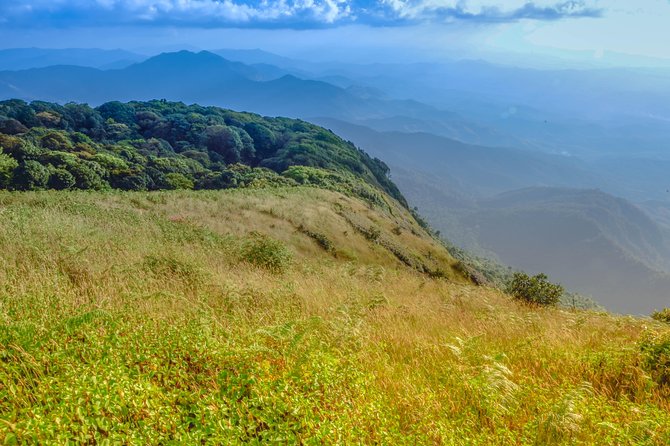Full-Day Doi Inthanon Nature Tour from Chiang Mai - Price and value: what $163.20 buys on a mountain day