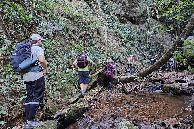 Full Day Doi Saket Hiking Tour - Key things I’d circle before you go